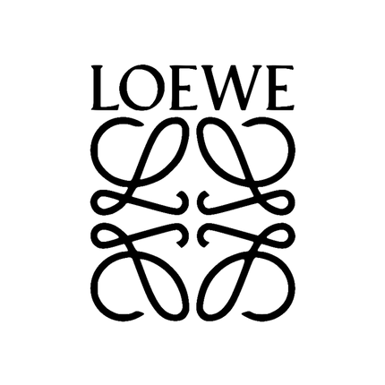 Collection image for: Loewe