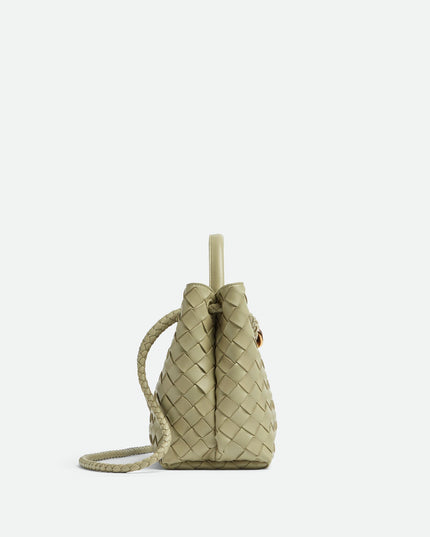 Bottega Veneta small Andiamo