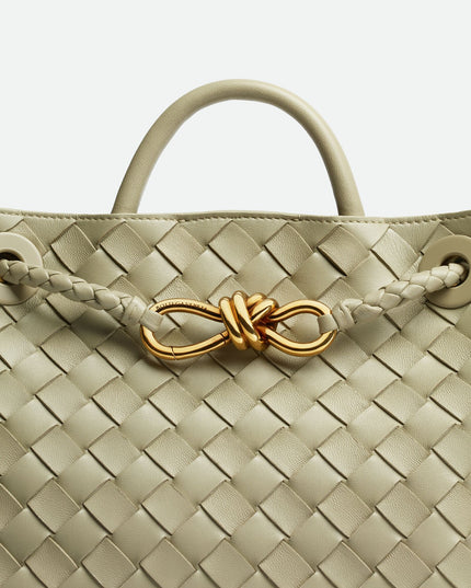 Bottega Veneta small Andiamo
