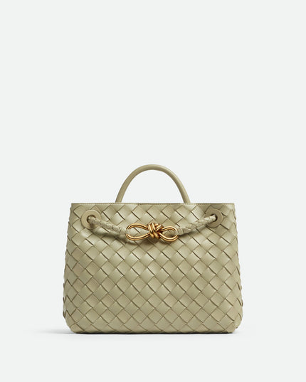 Bottega Veneta small Andiamo