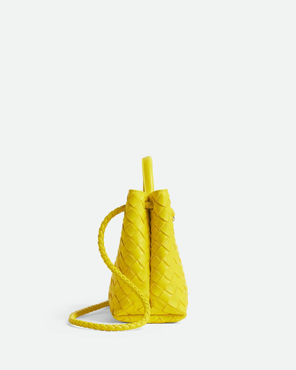 Bottega Veneta Andiamo Small