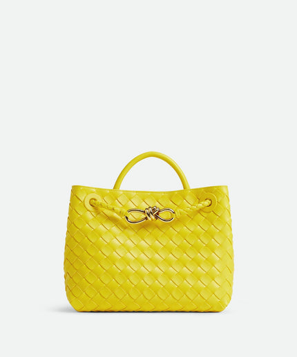 Bottega Veneta Andiamo Small