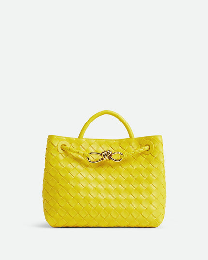 Bottega Veneta Andiamo Small