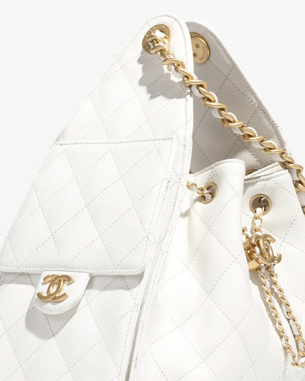 CHANEL 25 Small Handbag
