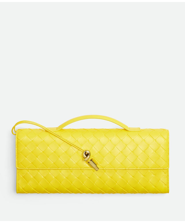Bottega Veneta Andiamo Clutch