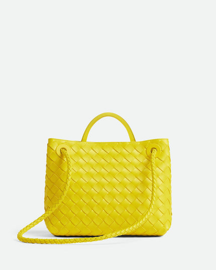Bottega Veneta Andiamo Small