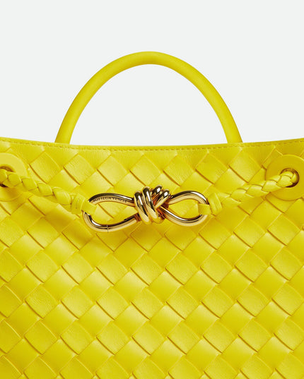 Bottega Veneta Andiamo Small