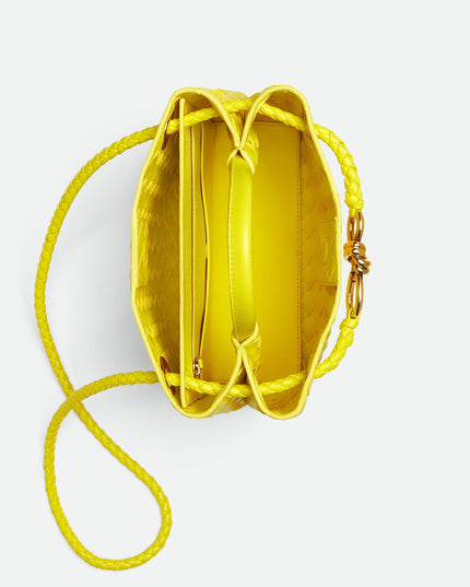 Bottega Veneta Andiamo Small